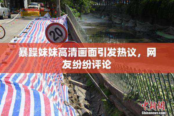 暴躁妹妹高清画面引发热议，网友纷纷评论