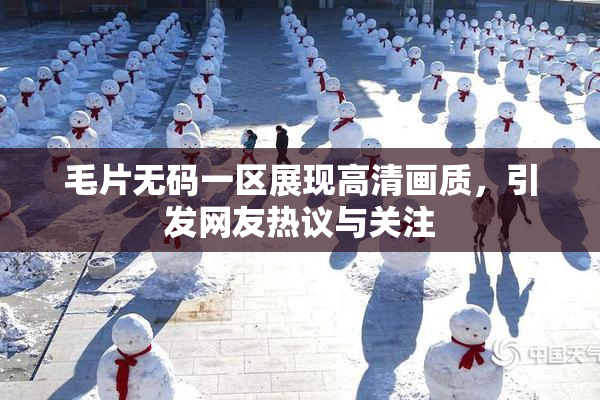 毛片无码一区展现高清画质，引发网友热议与关注