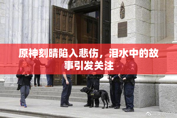 原神刻晴陷入悲伤，泪水中的故事引发关注