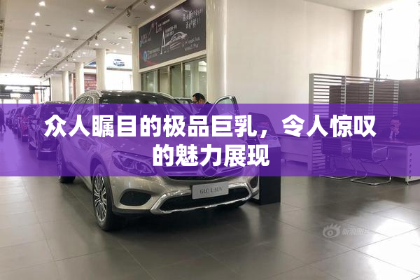众人瞩目的极品巨乳，令人惊叹的魅力展现
