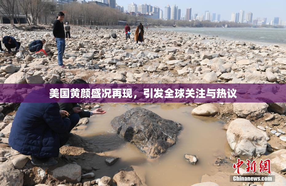 美国黄颜盛况再现，引发全球关注与热议