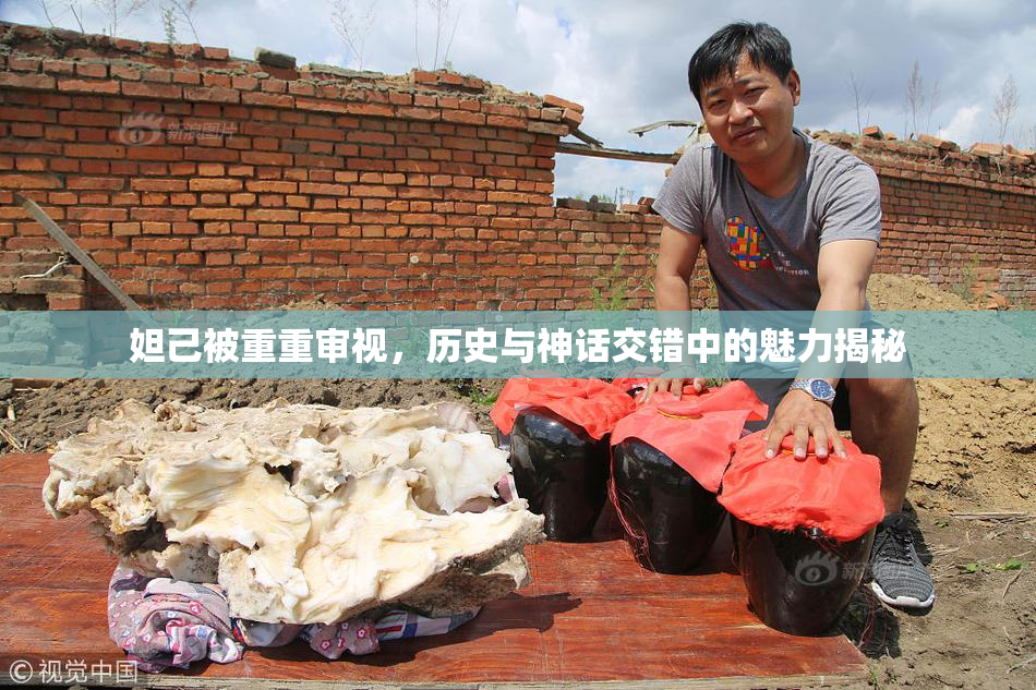 妲己被重重审视，历史与神话交错中的魅力揭秘
