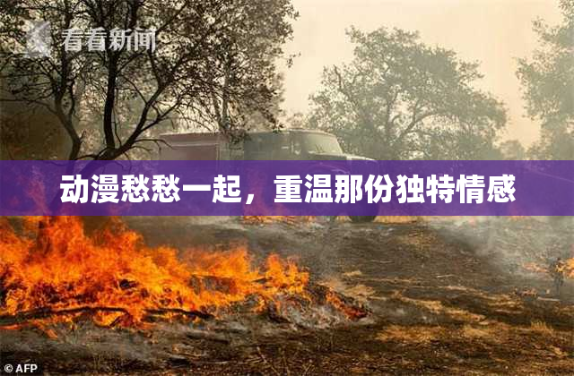 动漫愁愁一起，重温那份独特情感