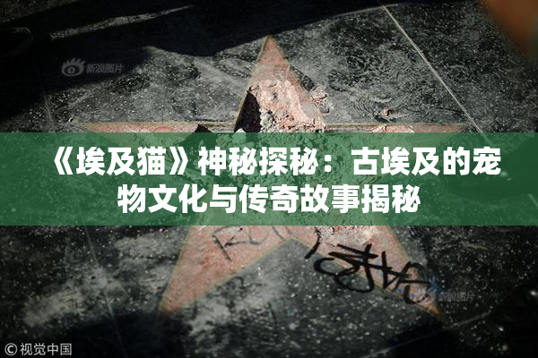《埃及猫》神秘探秘：古埃及的宠物文化与传奇故事揭秘