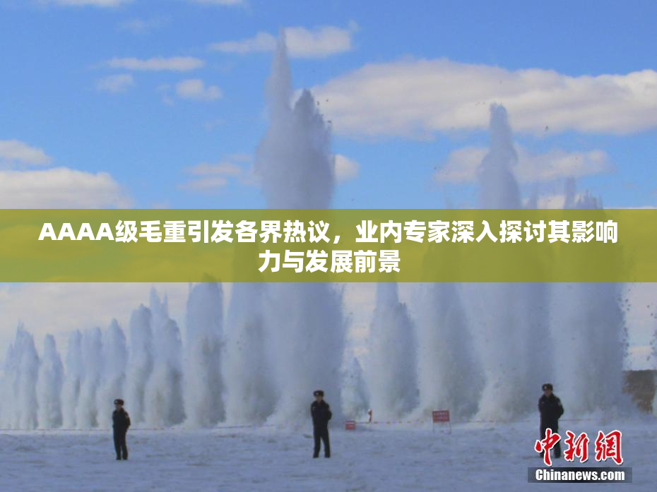 AAAA级毛重引发各界热议，业内专家深入探讨其影响力与发展前景