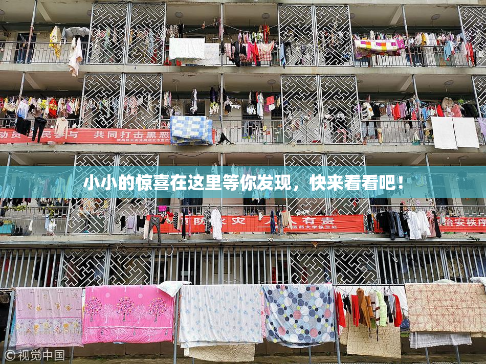 小小的惊喜在这里等你发现，快来看看吧！