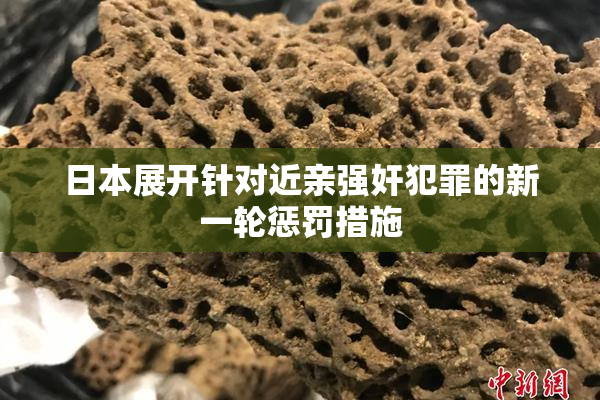 日本展开针对近亲强奸犯罪的新一轮惩罚措施