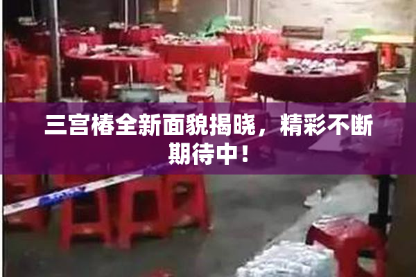 三宫椿全新面貌揭晓，精彩不断期待中！