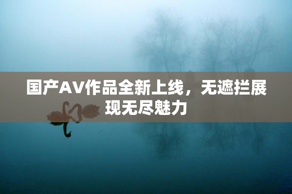 国产AV作品全新上线，无遮拦展现无尽魅力