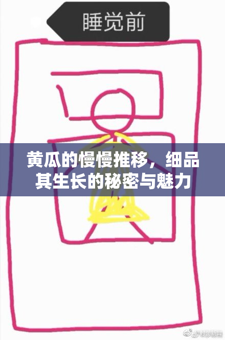黄瓜的慢慢推移，细品其生长的秘密与魅力