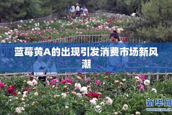 蓝莓黄A的出现引发消费市场新风潮