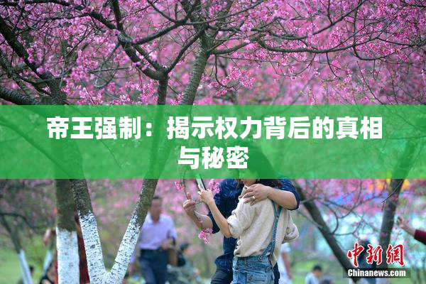 帝王强制：揭示权力背后的真相与秘密