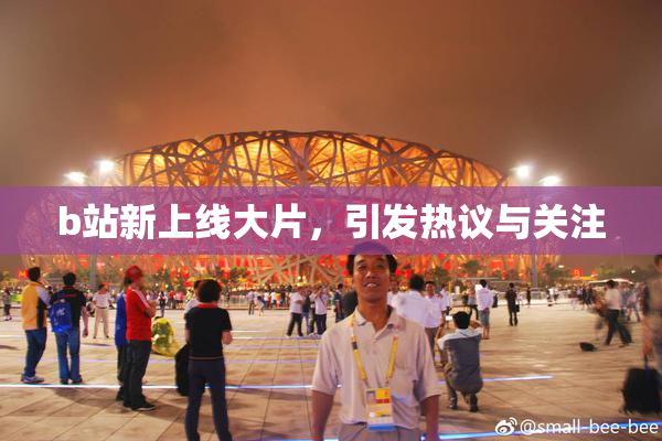 b站新上线大片，引发热议与关注