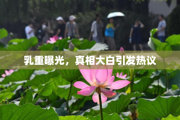 乳重曝光，真相大白引发热议