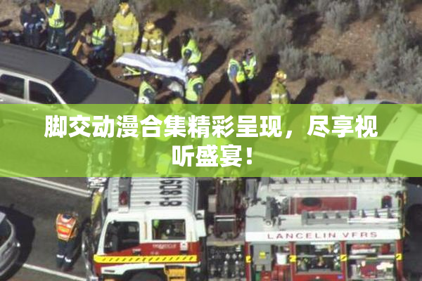 脚交动漫合集精彩呈现，尽享视听盛宴！