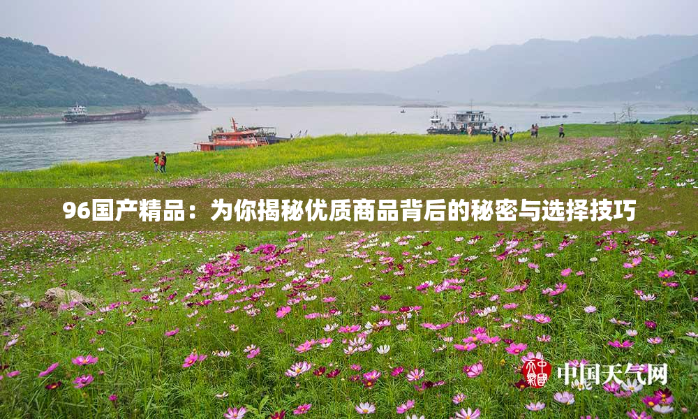 96国产精品：为你揭秘优质商品背后的秘密与选择技巧