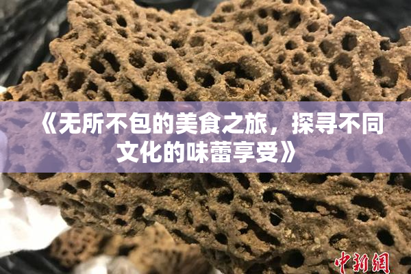 《无所不包的美食之旅，探寻不同文化的味蕾享受》