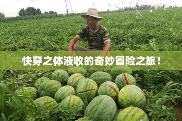快穿之体液收的奇妙冒险之旅！