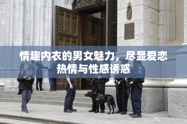 情趣内衣的男女魅力，尽显爱恋热情与性感诱惑