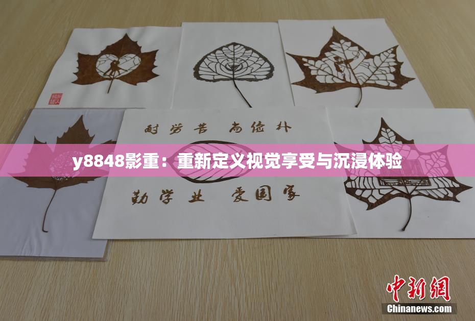 y8848影重：重新定义视觉享受与沉浸体验