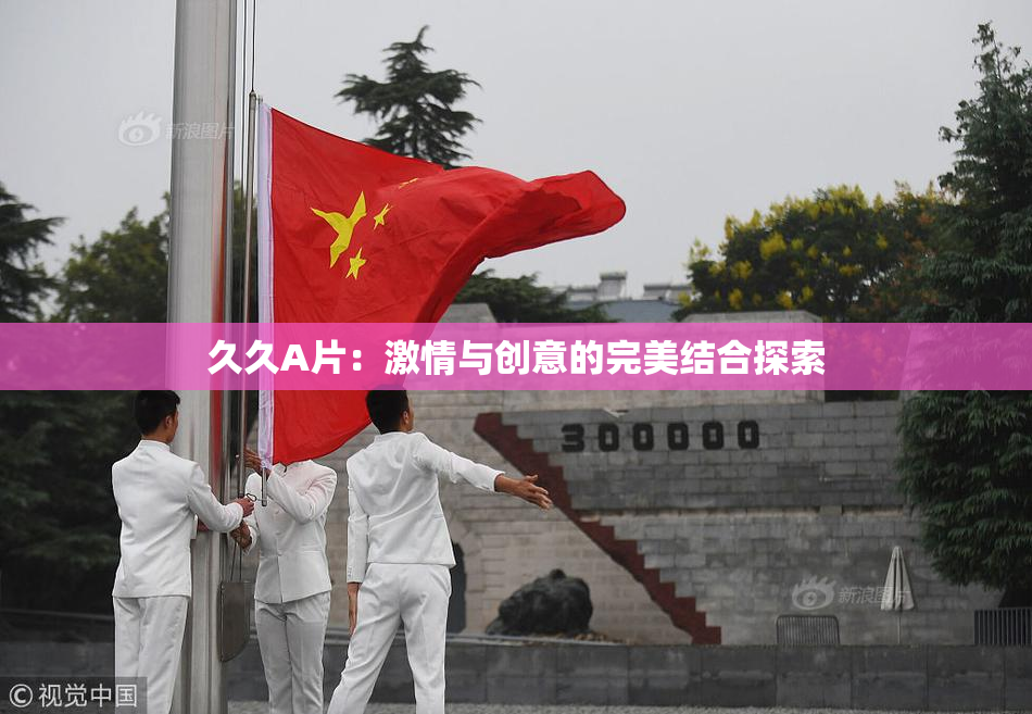 久久A片：激情与创意的完美结合探索