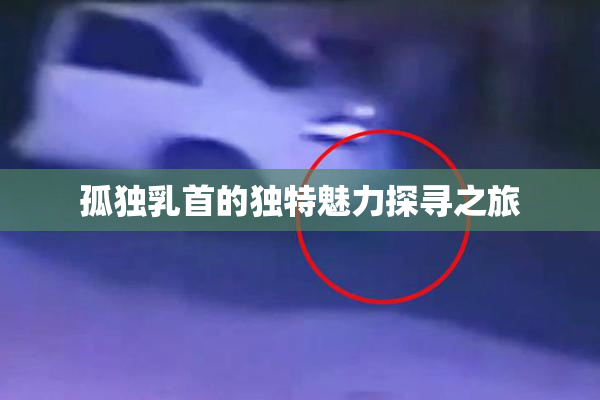 孤独乳首的独特魅力探寻之旅