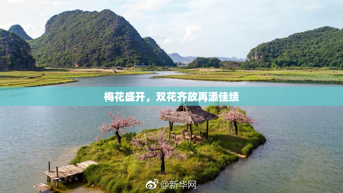 梅花盛开，双花齐放再添佳绩