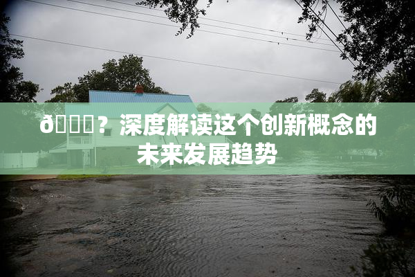 🈚？深度解读这个创新概念的未来发展趋势