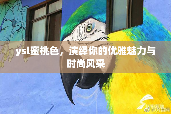 ysl蜜桃色，演绎你的优雅魅力与时尚风采