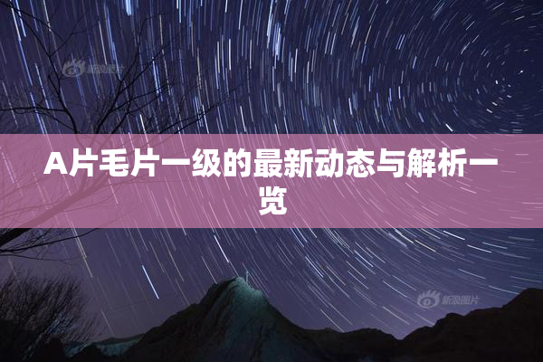 A片毛片一级的最新动态与解析一览