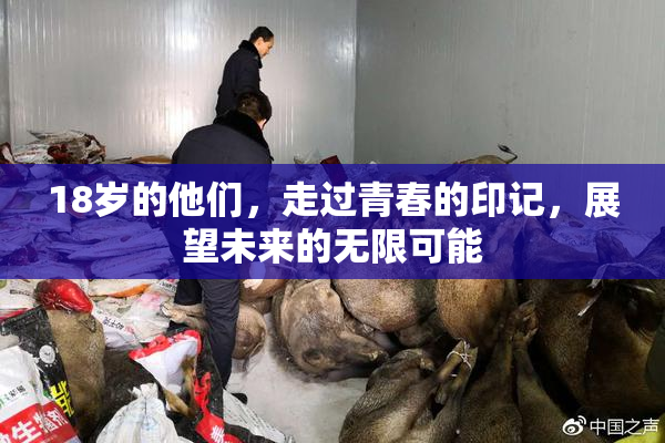 18岁的他们，走过青春的印记，展望未来的无限可能