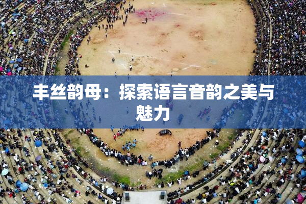 丰丝韵母：探索语言音韵之美与魅力