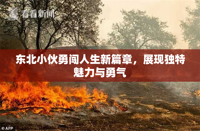 东北小伙勇闯人生新篇章，展现独特魅力与勇气