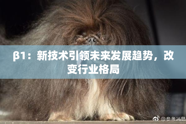 β1：新技术引领未来发展趋势，改变行业格局