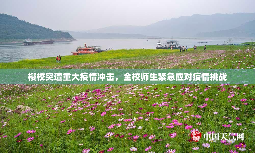 樱校突遭重大疫情冲击，全校师生紧急应对疫情挑战