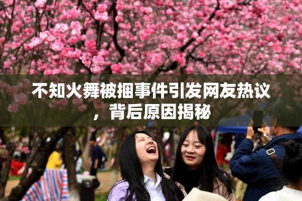 不知火舞被捆事件引发网友热议，背后原因揭秘