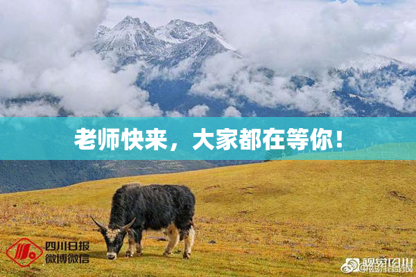 老师快来，大家都在等你！