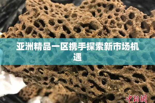 亚洲精品一区携手探索新市场机遇