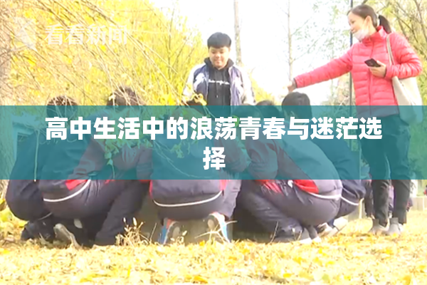 高中生活中的浪荡青春与迷茫选择