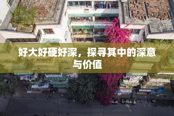 好大好硬好深，探寻其中的深意与价值