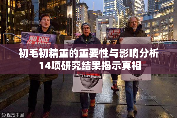 初毛初精重的重要性与影响分析 14项研究结果揭示真相
