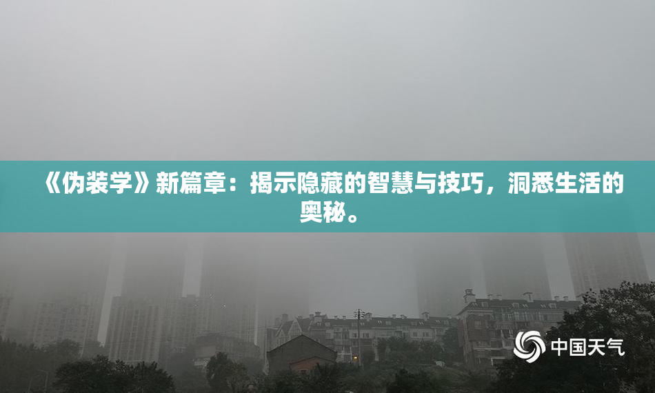 《伪装学》新篇章：揭示隐藏的智慧与技巧，洞悉生活的奥秘。