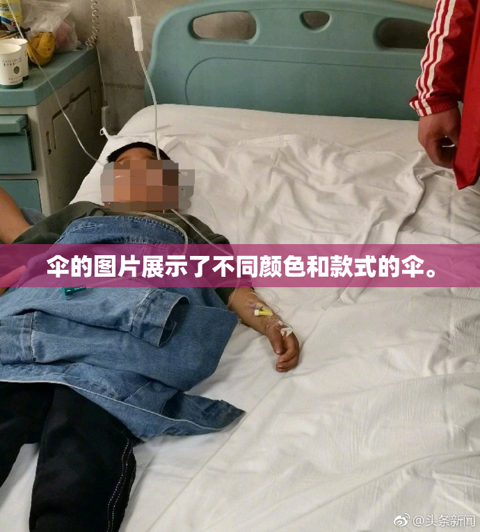 伞的图片展示了不同颜色和款式的伞。