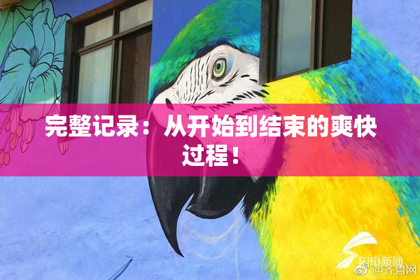 完整记录：从开始到结束的爽快过程！