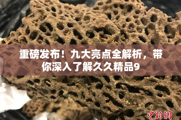 重磅发布！九大亮点全解析，带你深入了解久久精品9