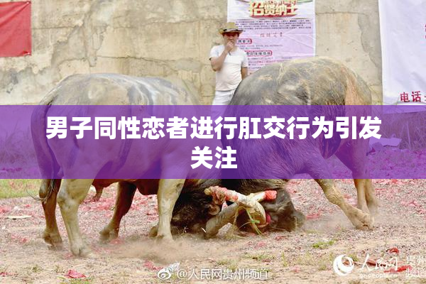 男子同性恋者进行肛交行为引发关注