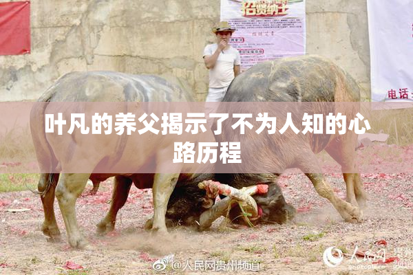 叶凡的养父揭示了不为人知的心路历程