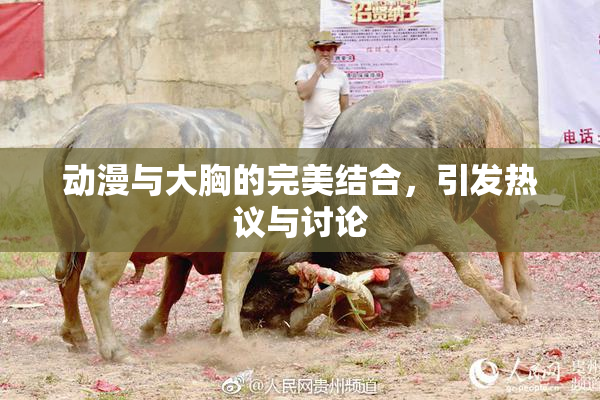动漫与大胸的完美结合，引发热议与讨论