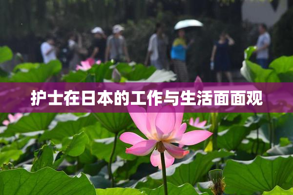 护士在日本的工作与生活面面观