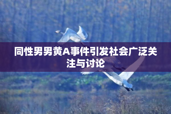 同性男男黄A事件引发社会广泛关注与讨论